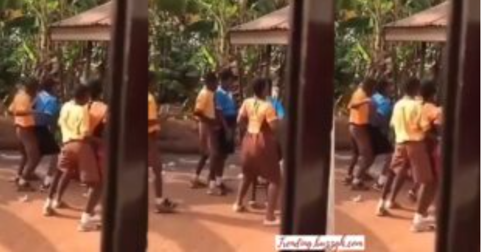 See what these ‘Government’ school children were caught doing behind their school building- Video